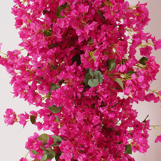 Close-up of vibrant pink bougainvillea flowers with a neutral background
