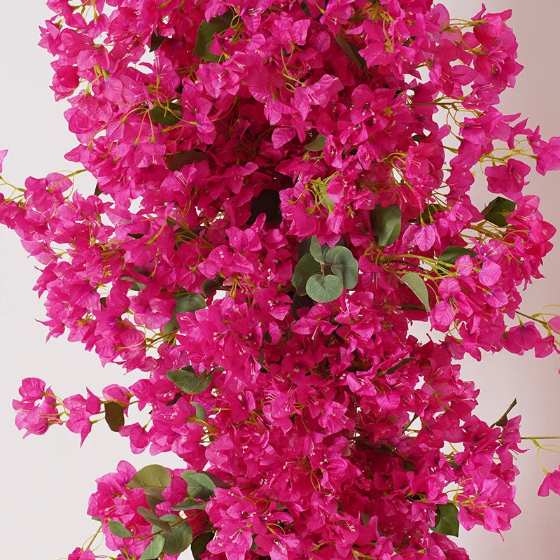Close-up of vibrant pink bougainvillea flowers with a neutral background
