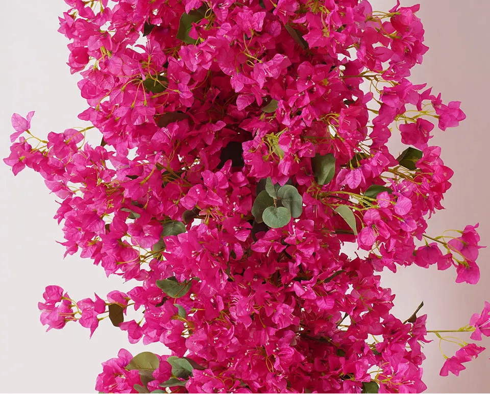 Close-up of vibrant pink flowers with green leaves on a light background